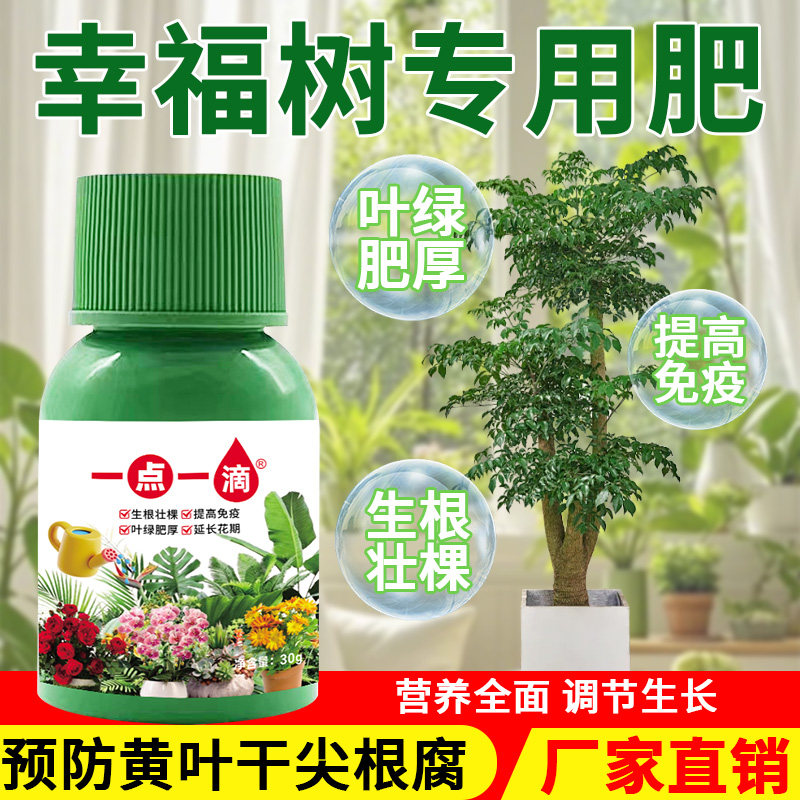 幸福树营养液通用型幸福树专用营养液花肥绿植水培植物肥料治黄叶