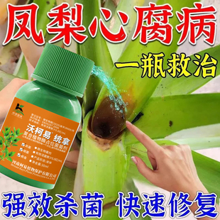 凤梨专用药凤梨杀菌剂凤梨病全治心腐病凋萎病曲颈病绿萎病通用型