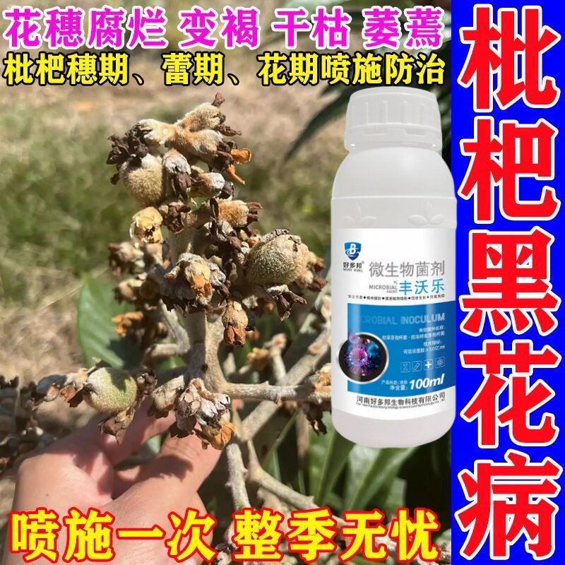 枇杷专用微生物灭菌剂轮斑病炭疽煤烟病斑点病灰斑病防治烂根烂果