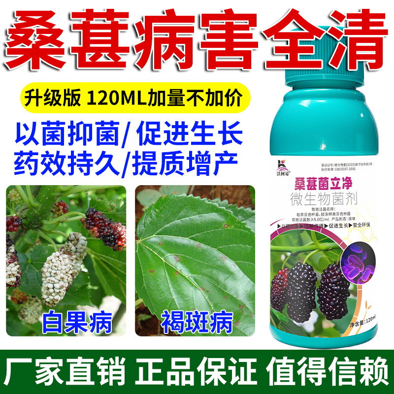 桑葚菌立净桑葚病害清白果褐斑青枯菌核断梢炭疽黄叶腐烂杀菌剂
