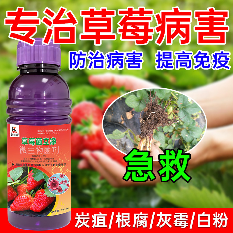 草莓专用杀菌剂草莓白粉病叶斑灰霉病根腐蛇眼青枯霜霉猝倒炭疽病