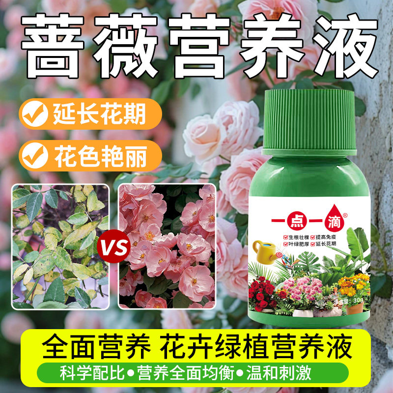 蔷薇营养液植物通用型蔷薇专用营养液生根增长液室内盆栽花卉肥料