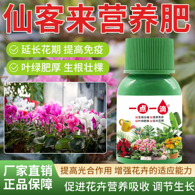 仙客来适用营养液家用通用治黄叶促开花室内绿植花卉盆栽专用肥料