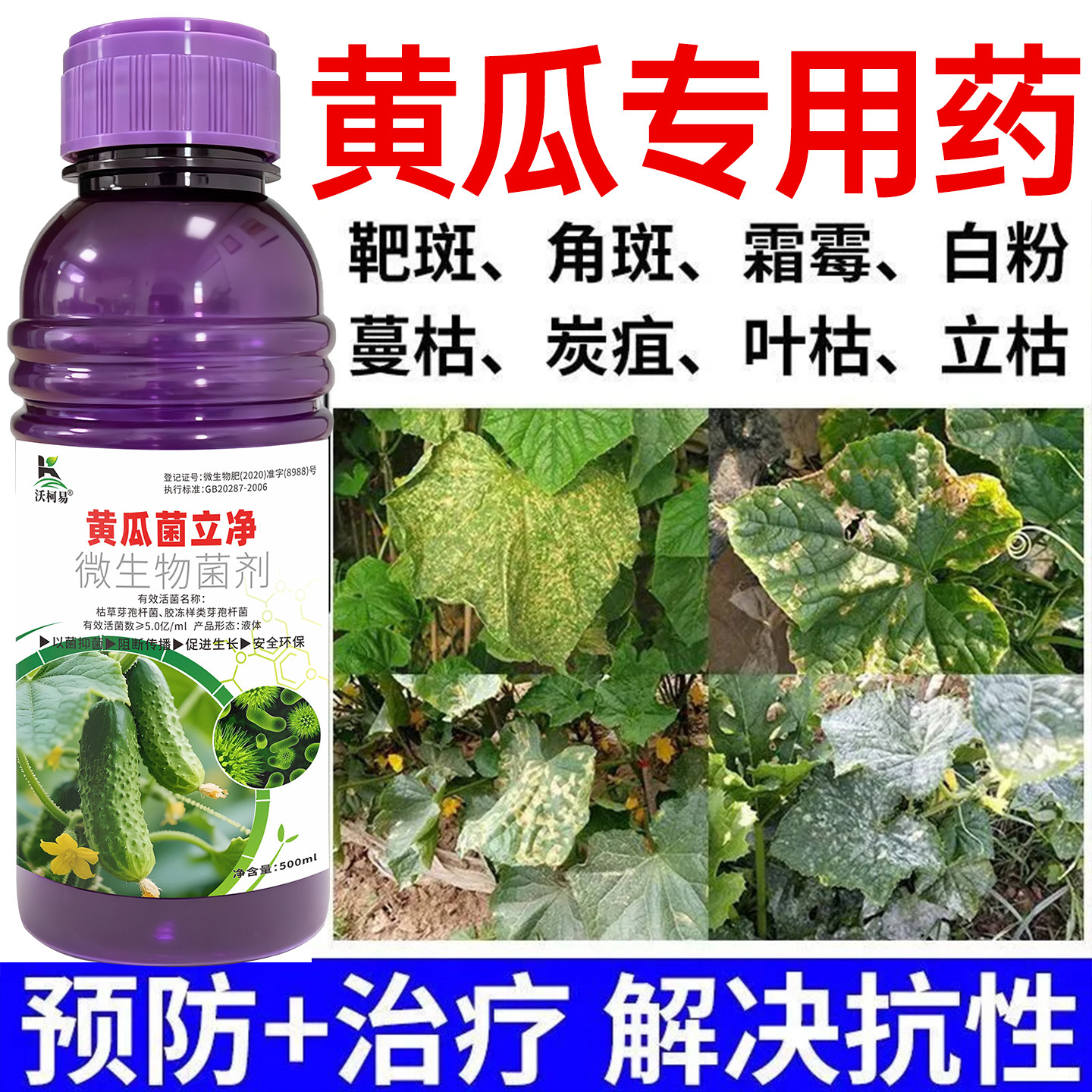 黄瓜病专用黄瓜灰霉霜霉炭疽病毒白粉软腐蔓枯褐斑猝倒正品杀菌剂