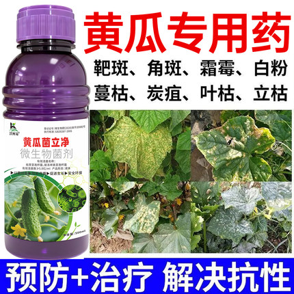 黄瓜病专用黄瓜灰霉霜霉炭疽病毒白粉软腐蔓枯褐斑猝倒正品杀菌剂