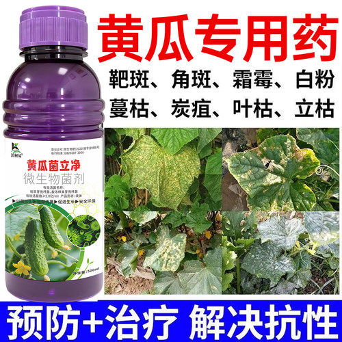 黄瓜病专用黄瓜灰霉霜霉炭疽病毒白粉软腐蔓枯褐斑猝倒正品杀菌剂