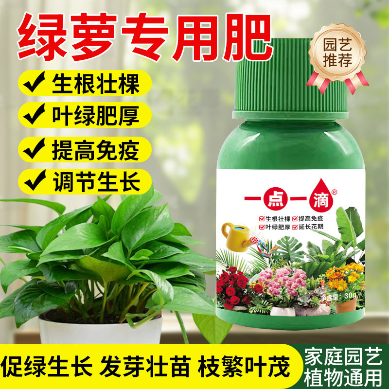 绿萝营养液专用肥料家用植物盆栽防黄叶落叶增肥增绿液体肥通用型