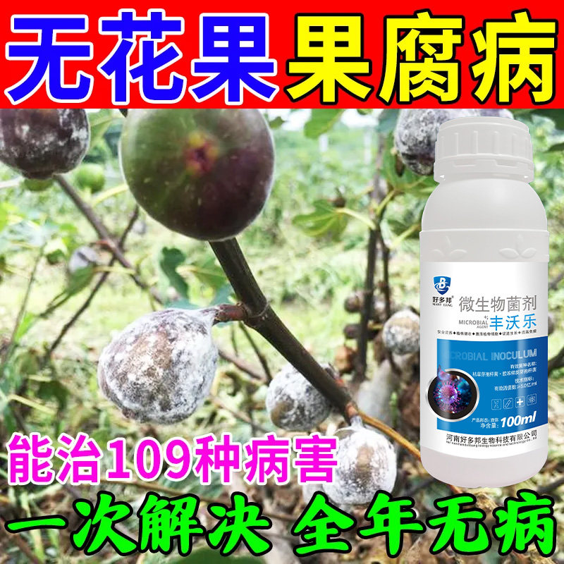 无花果病专用药无花果微生物菌肥锈病药炭疽病果腐病枯枝裂果病药图片