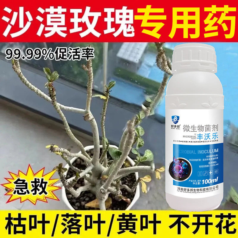 沙漠玫瑰干尖专用药治黄叶焦边掉叶枯萎不开花沙漠玫瑰微生物菌肥