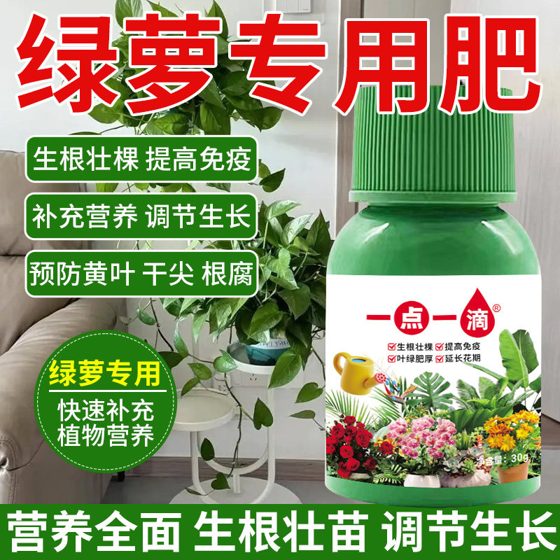 绿萝肥料专用肥防黄叶绿植物盆栽家用营养液养花肥水培绿萝营养水