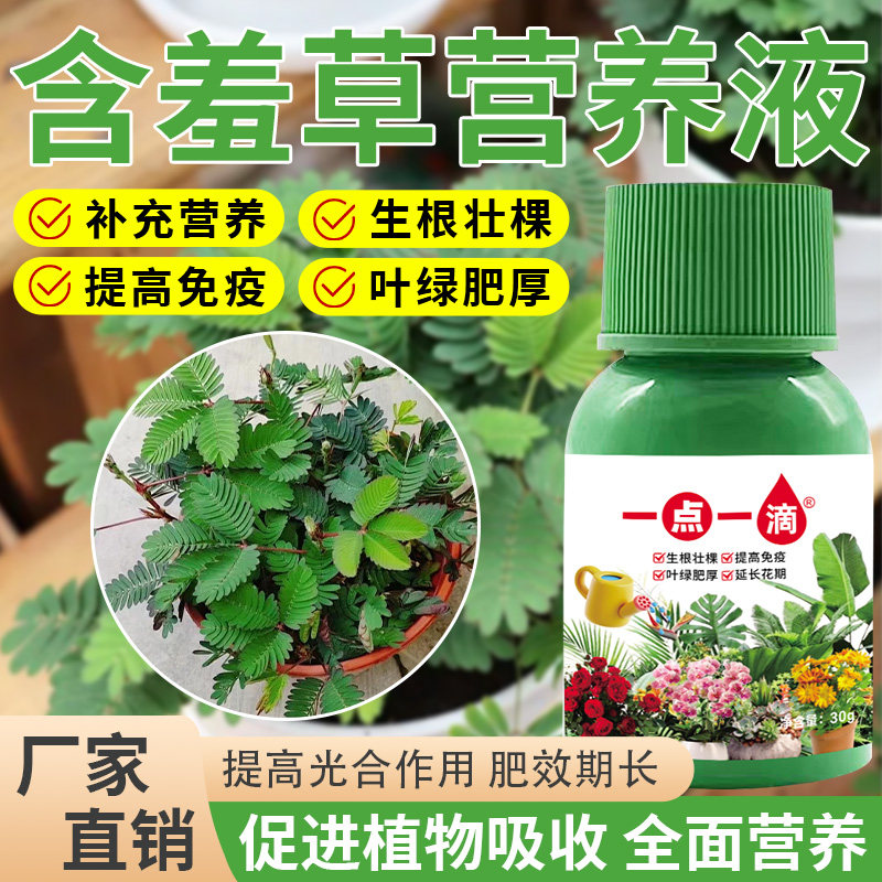 含羞草专用肥感应草肥料夫妻草营养液盆景害羞草复合肥有机肥家庭