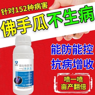 佛手瓜全管杀菌剂根腐病叶斑病白绢灰霉烂根病全治法菌灵立枯病