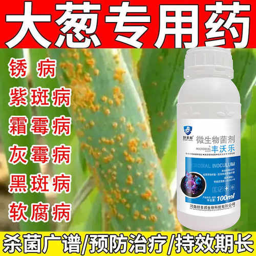 大葱病全治大葱专用杀菌剂灰霉病叶枯疫病根腐病锈病黑斑病紫斑病