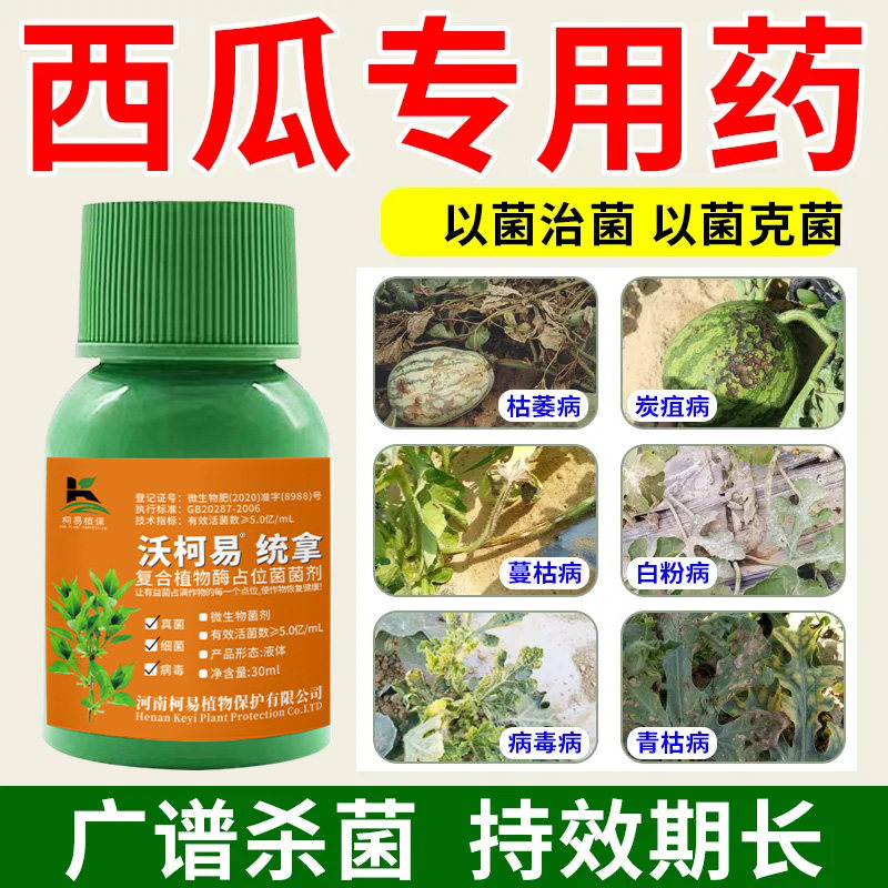 西瓜专用杀菌剂西瓜专用药防治枯萎病炭疽病白粉病叶斑病根腐病