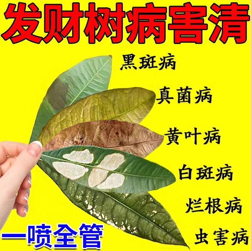 发财树肥料叶子枯黄掉叶斑病预防烂根腐病药发财树营养液室内专用
