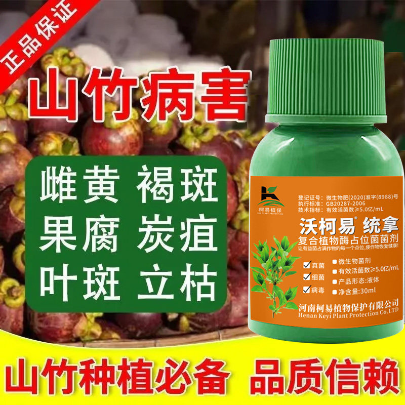 山竹病专治正品黄叶死苗一喷绿微生物菌剂肥料生根壮苗卷叶伸展