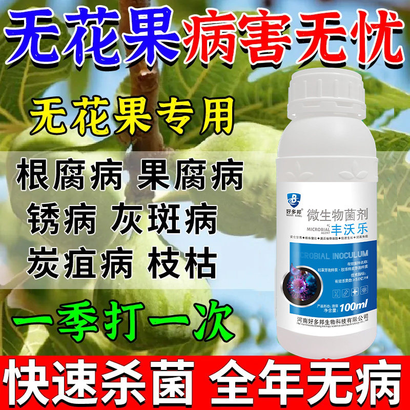 无花果锈病专用药雨后黄叶病叶斑病炭疽病根腐病裂果病通用杀菌剂