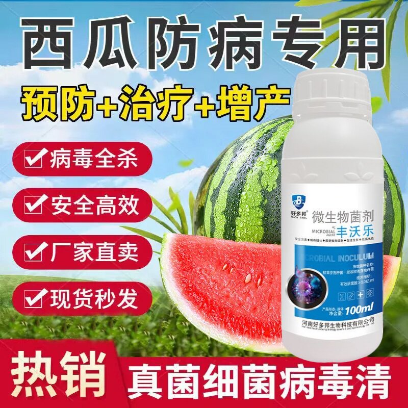 西瓜青枯病西瓜治病药叶斑果腐枯萎炭疽白粉病毒病杀菌微生物菌剂