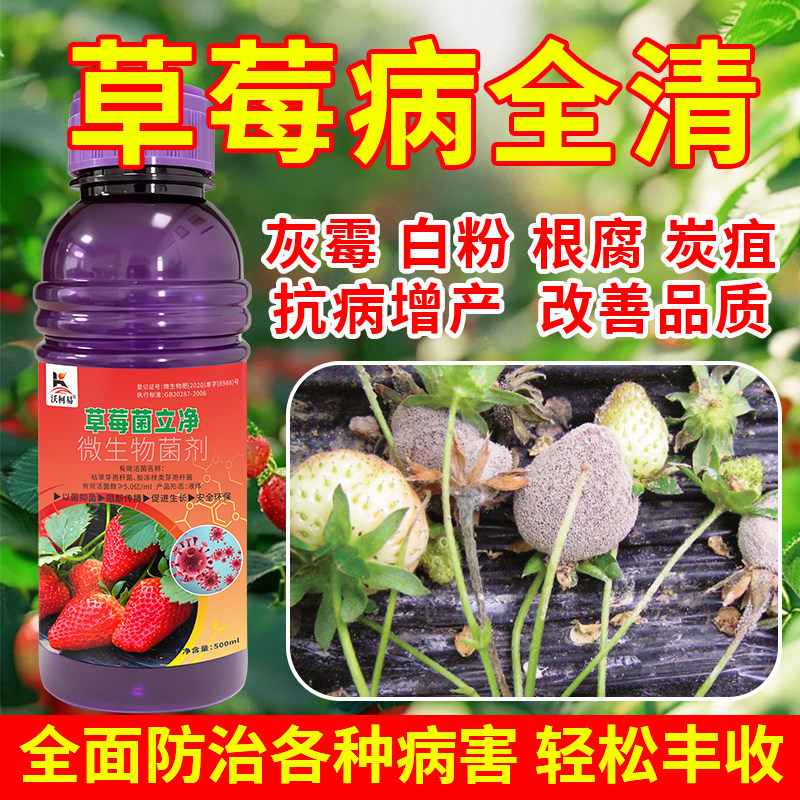 草莓病专用药草莓白粉叶斑灰霉根腐蛇眼青枯霜霉猝倒炭疽病杀菌剂