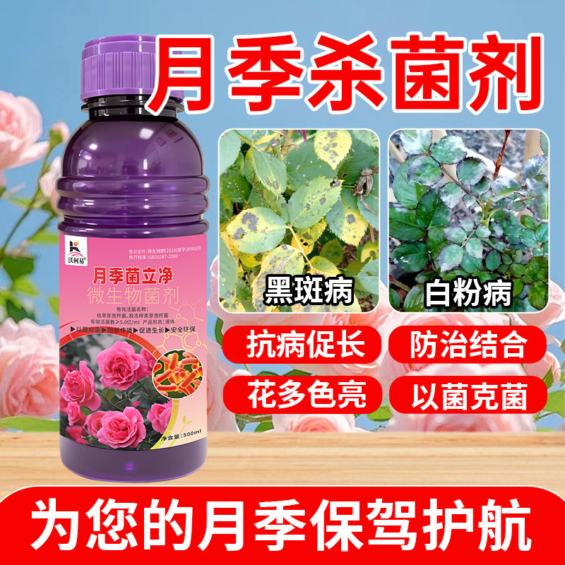 月季病专用月季黑斑病霜霉白粉烟煤锈病黄叶焦尖枯萎炭疽杀菌剂