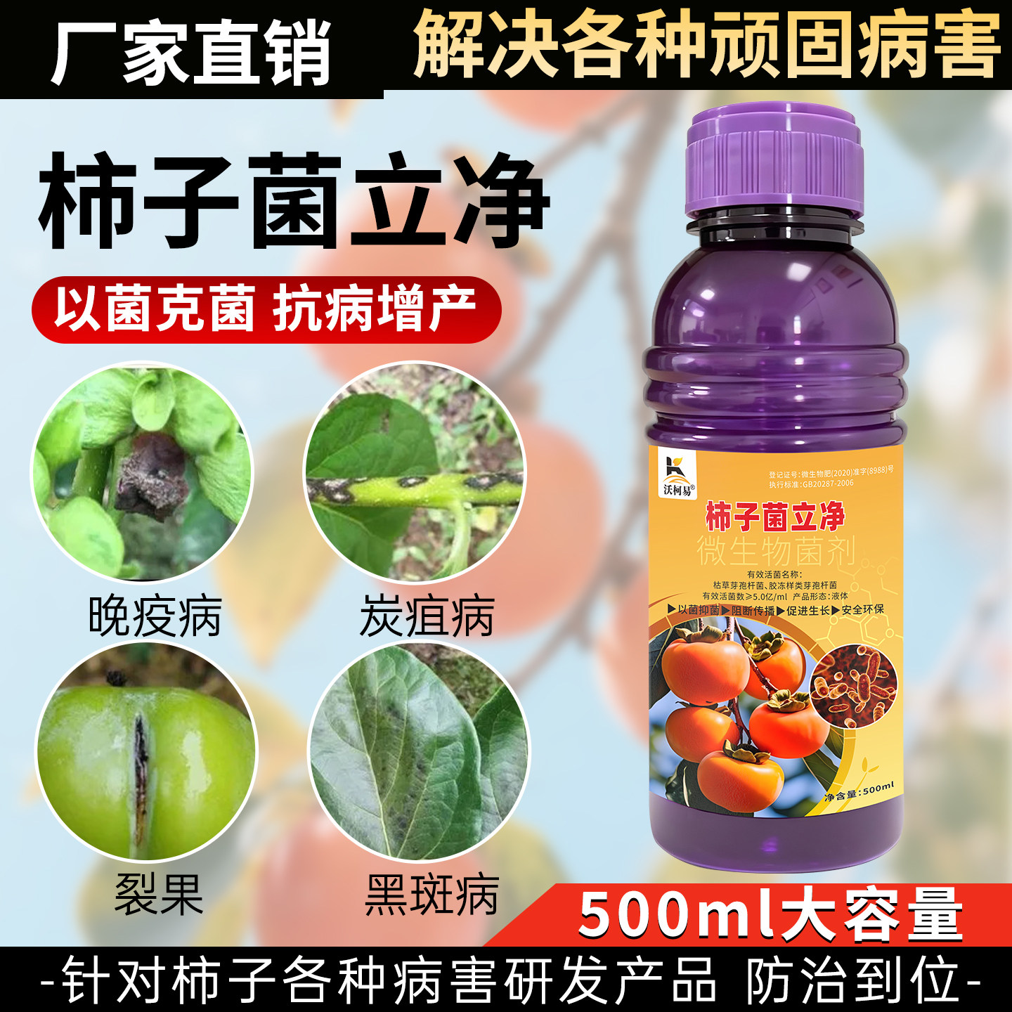 柿子专用杀菌剂柿子白粉病青枯角斑炭疽灰霉裂果野火赤星病晚疫病