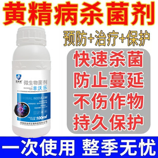 黄精病杀菌剂黄精专用防病药专治黄叶根腐病炭疽病黑斑病农用菌剂