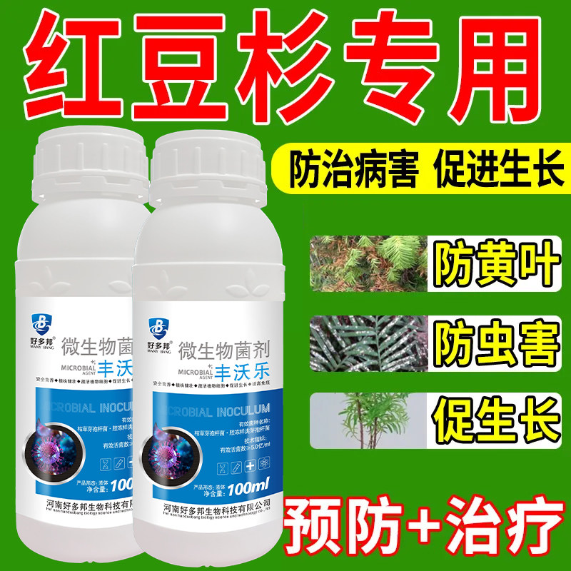 红豆杉黄叶病常用药专治黄叶黑斑白粉病叶枯灰霉病叶子发黑杀菌剂
