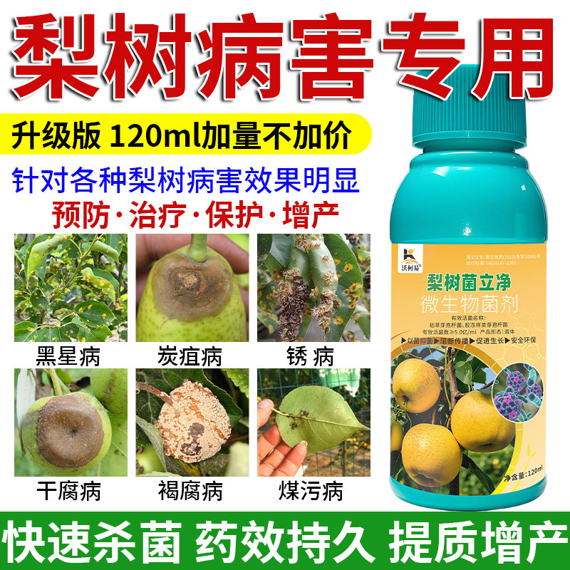 梨树专用杀菌药梨树锈病轮纹病烂果黑星病褐腐干腐病霉污病正品