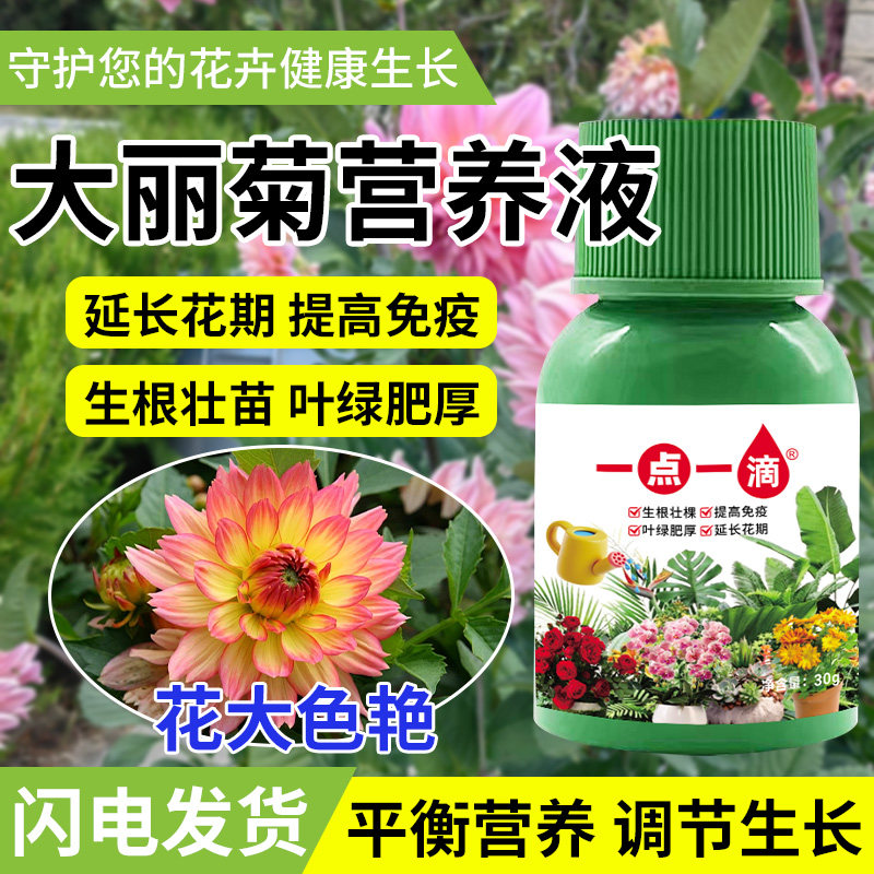 大丽花营养液植物型养花液体盆栽农用肥料育苗盆景花草促生长果树