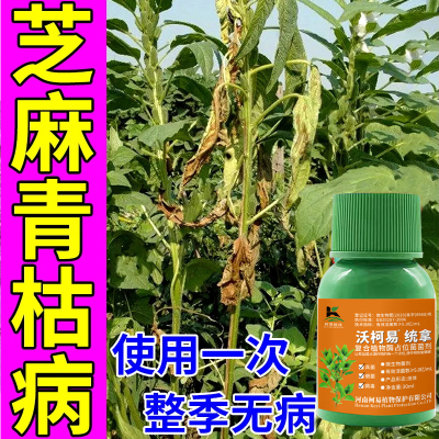 芝麻重茬专用芝麻重茬肥土壤重茬疏松剂芝麻根腐病专用重茬治病肥