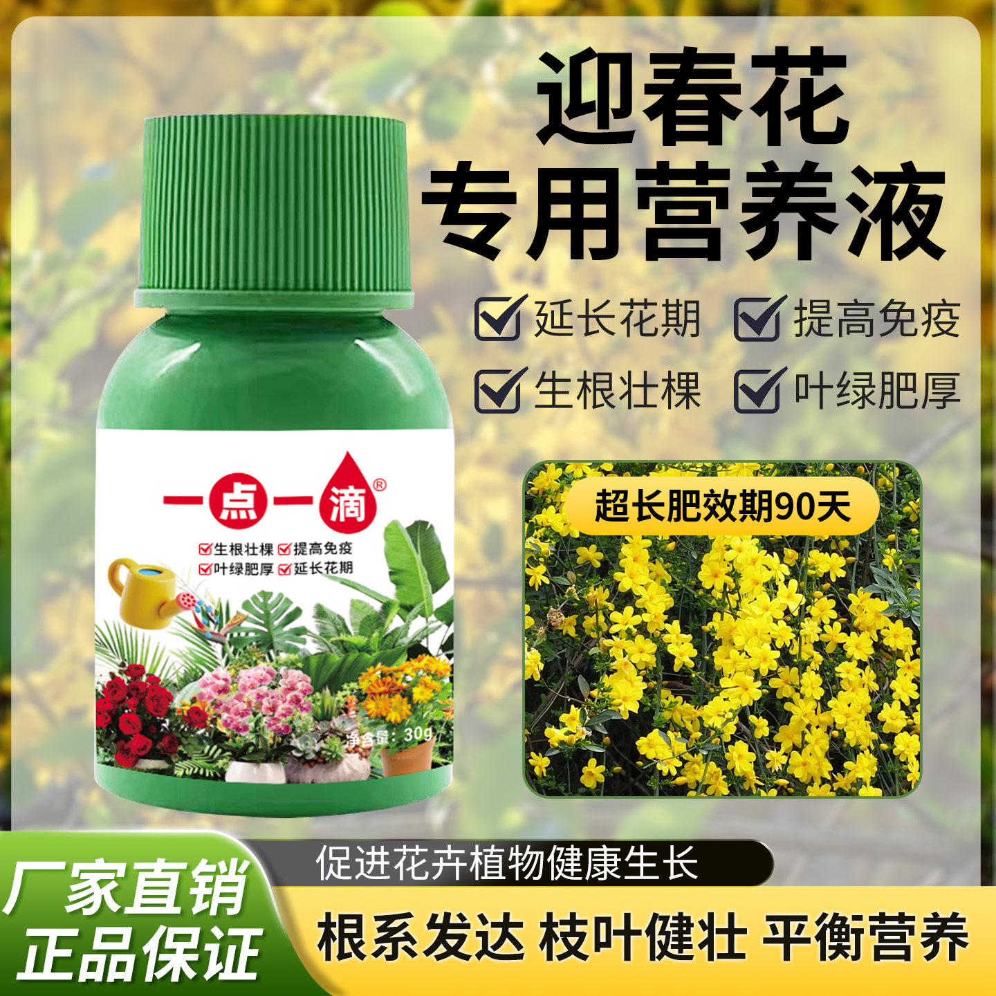 迎春花专用浓缩营养液家用盆景老桩植物绿叶促开花通用养花卉肥料