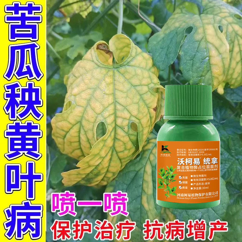 苦瓜病害清苦瓜黄叶病炭疽病霜霉病蔓枯病病毒病全管微生物药正品