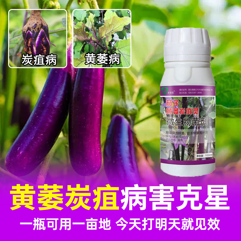 茄子专用药疫菌清治黄萎炭疽灵锈病白粉叶斑灰霉病菌剂专用叶面肥