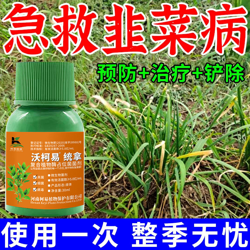 韭菜病全治韭菜专用药灰霉病软腐病烂叶干尖斑点病杀菌剂特效农药