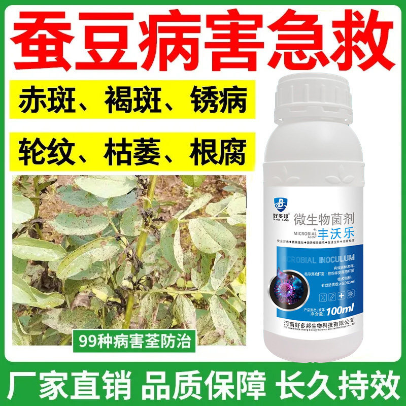 蚕豆病全治进口蚕豆专用杀菌剂蚕豆病菌清强效正品根腐病霜霉灰斑