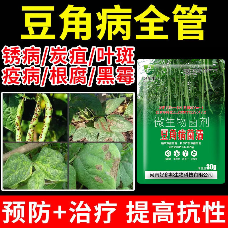 豆角病菌清专利配方豆角锈病黑斑青枯病根腐炭疽病专用药正品直销