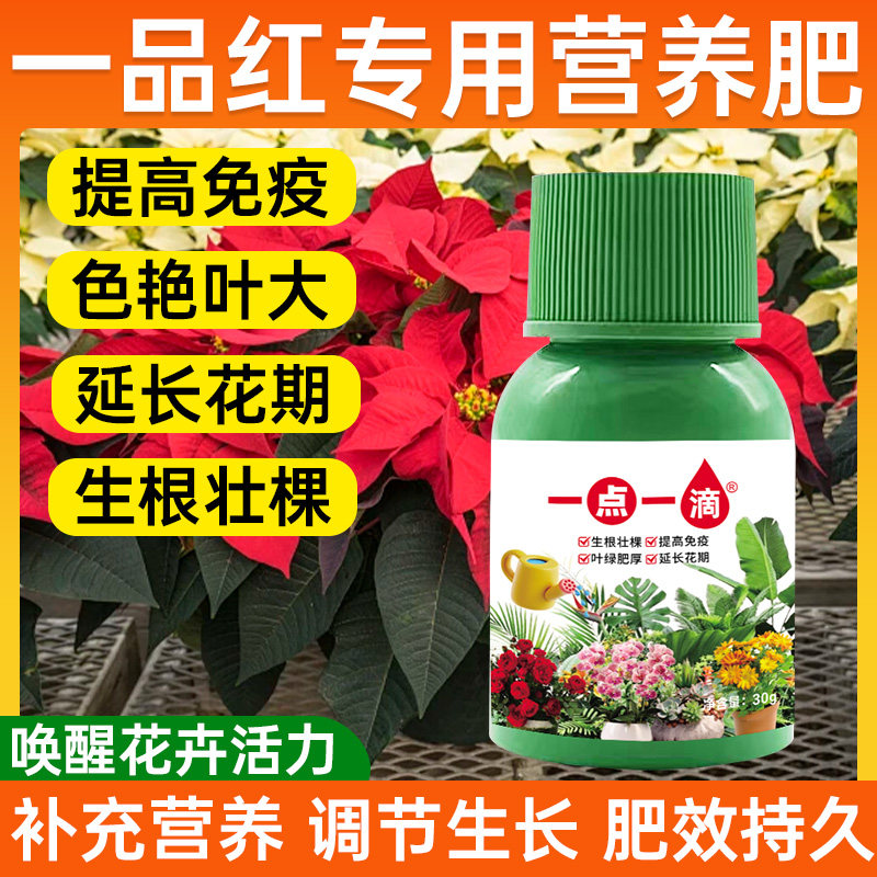 一品红营养液肥料生根液液体肥园艺增长液水培植物植树水养树木