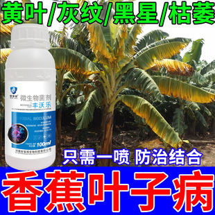 香蕉专用药香蕉病全治香蕉枯萎病黄叶病黑斑病黑星病炭疽病菌剂