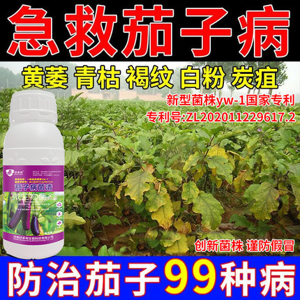 茄子病专用药归家专利技术茄子黄萎炭疽病灰霉白粉病绵疫病黑斑病