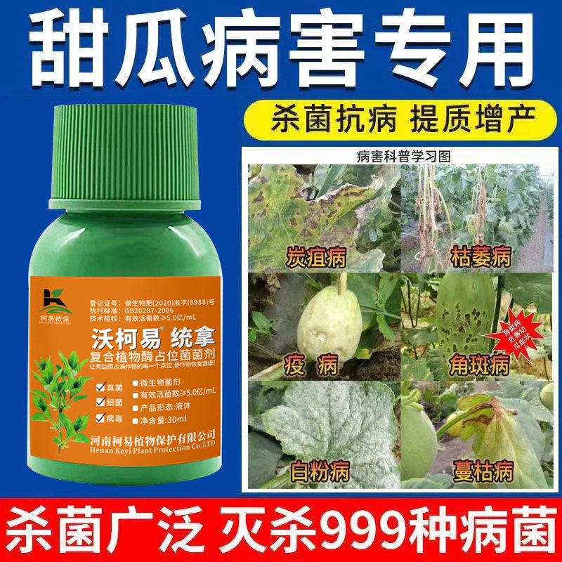 白粉病专用24小时脱粉香瓜白粉药甜瓜白粉病正品蔓枯病农药杀菌剂