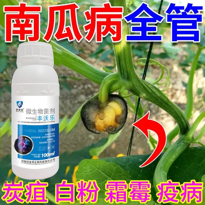 南瓜专用药南瓜花叶病毒病烂叶病黄叶病白粉病叶腐软腐病叶斑叶腐