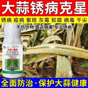 大蒜黄叶干尖锈病根腐病生物菌剂叶枯病紫斑病软腐病专用药正品