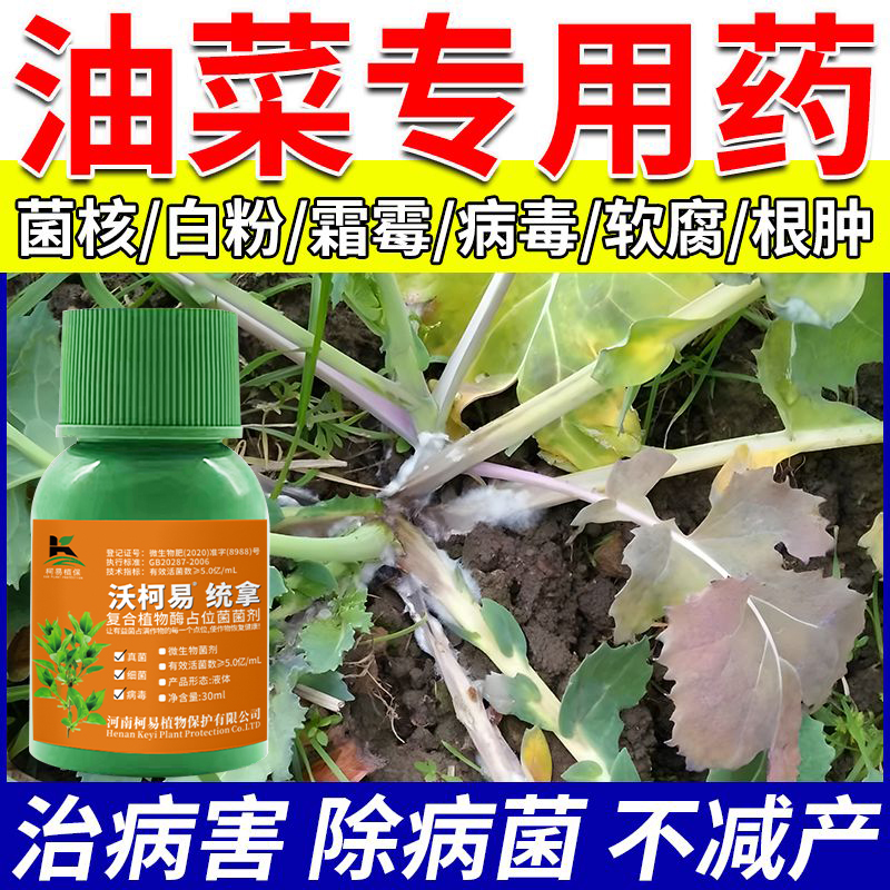 油菜专用药油菜病全治油菜菌核病黑斑霜霉病白锈病黄叶特效杀菌剂