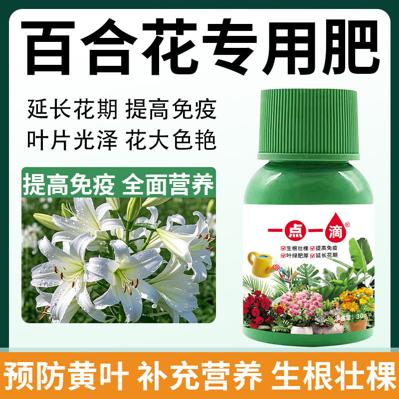 百合花专用营养液催芽剂催花肥防黄叶促开花通用百合专用肥通用型