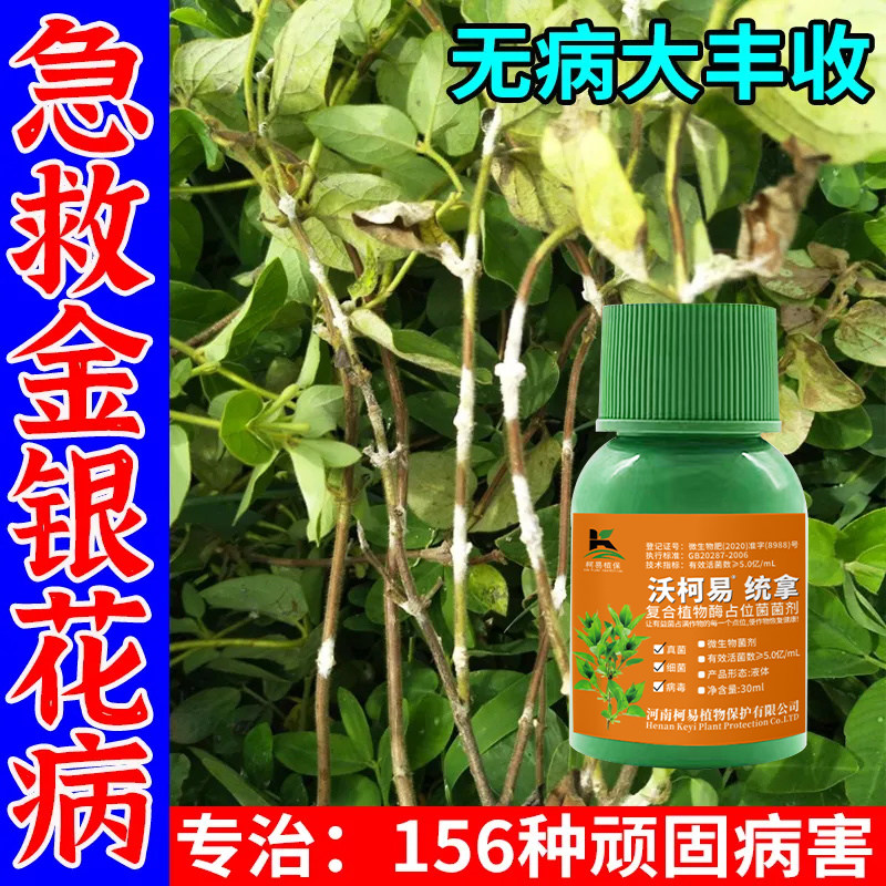 金银花病全治专用杀菌剂白粉病白斑病炭疽病根腐病枝枯病病害菌剂