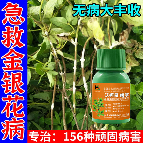 金银花病全治专用杀菌剂白粉病白斑病炭疽病根腐病枝枯病病害菌剂