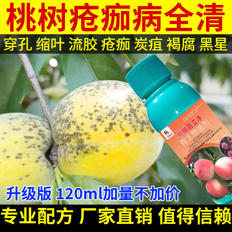 桃树病害清桃树流胶病疮痂炭疽褐腐桃树穿孔病溃疡黑斑白粉杀菌剂