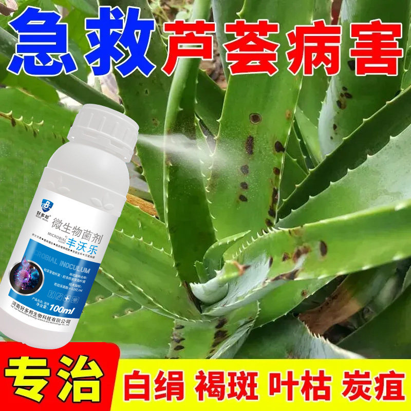 芦荟病全管专用药芦荟营养液花卉生长液通用治黄叶软腐促发芽肥料