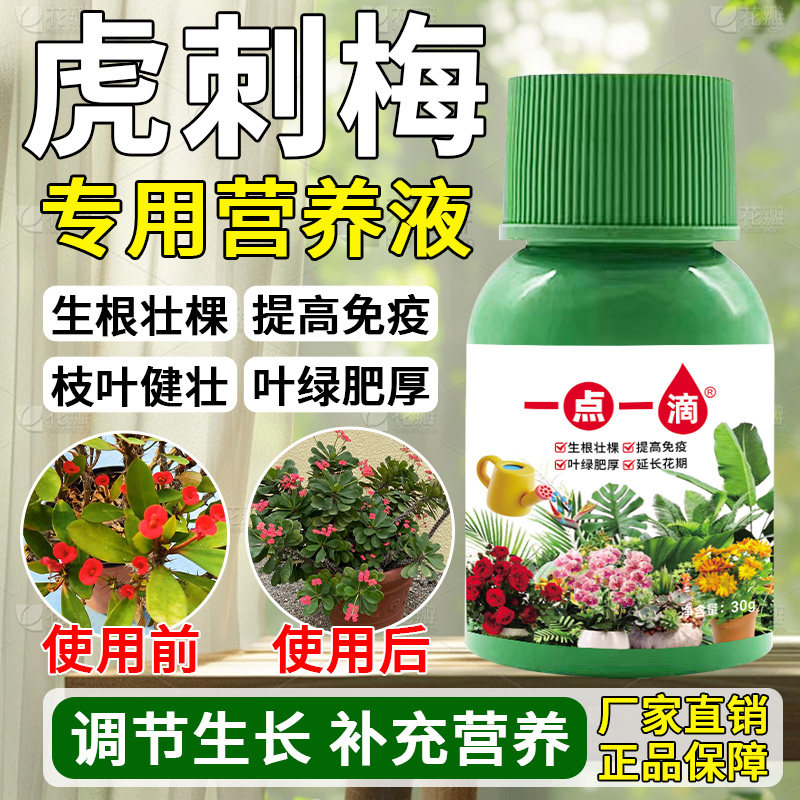 光杆别扔】虎刺梅专用营养液虎刺梅专用肥催花防黄叶干枯花卉肥