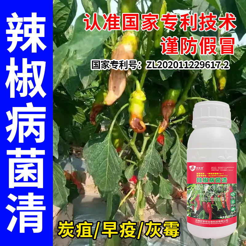 辣椒病专用药国家专利配方辣椒花叶卷叶病毒病烂皮烂果炭疽软腐病